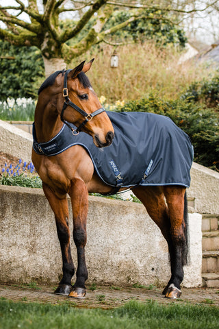 Amigo Walker Rug 100g