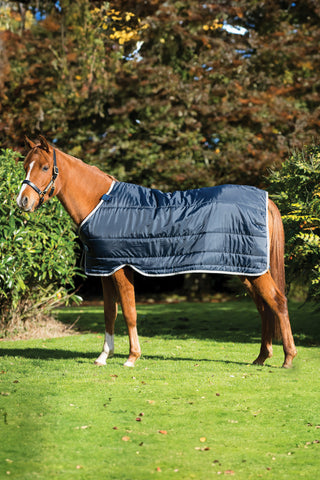 Liner Pony 100g