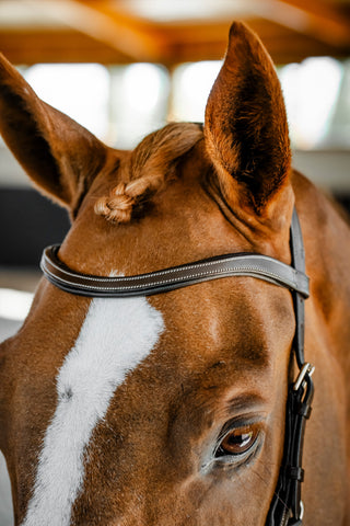 Micklem Competition Bridle Dark Havana
