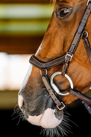 Micklem Competition Bridle Dark Havana