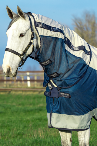 Rambo Rug Summer Series