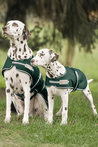 Couverture imperméable pour chien Fir Green