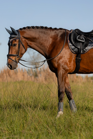 Arika Mesh guêtres de brossage