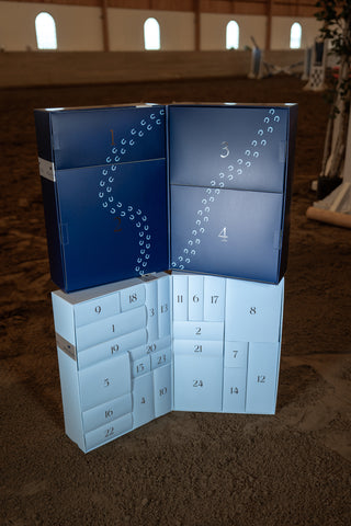 Adventskalender Box 2025