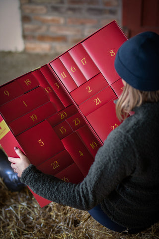Advent Calendar Box 2022