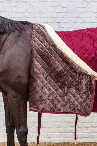 Show Rug Stable Rug 160G Bordeaux