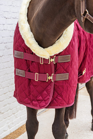 Show Rug Stable Rug 160G Bordeaux
