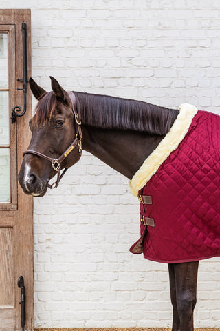 Show Rug Stable Rug 160G Bordeaux