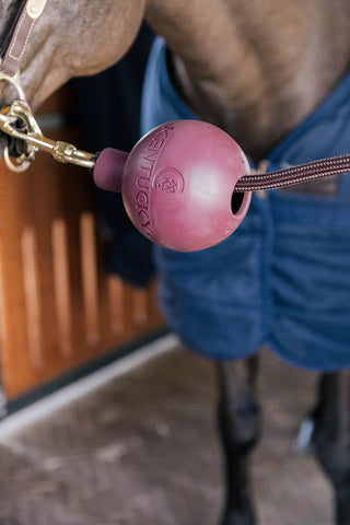 Boll Protection d’Attache Bordeaux