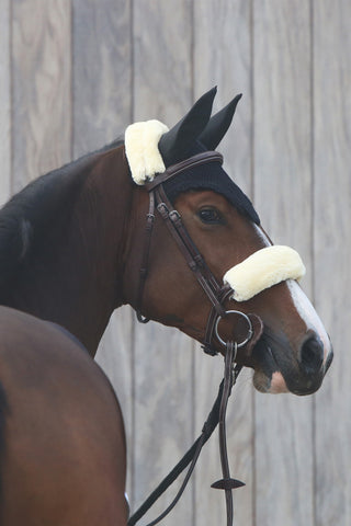 Fliegenhaube Schwarz