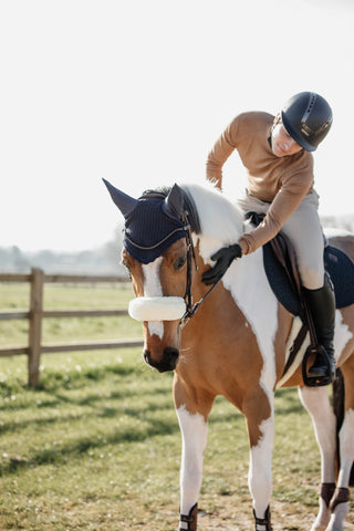 Fliegenhaube Schwarz
