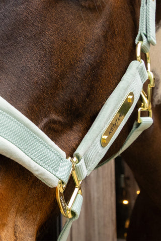 Licol Velvet Menthe
