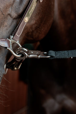 Anbindevorrichtung Safety 120cm Schwarz