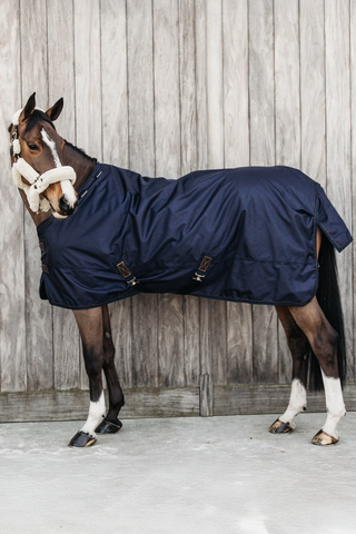 Outdoor Rug All Weather Pro 300g Navy