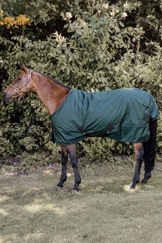 Outdoor Rug All Weather 160g Dark Green