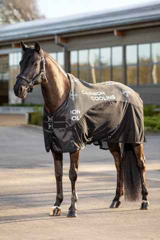LeMieux Carbon Cooler Rug Schwarz