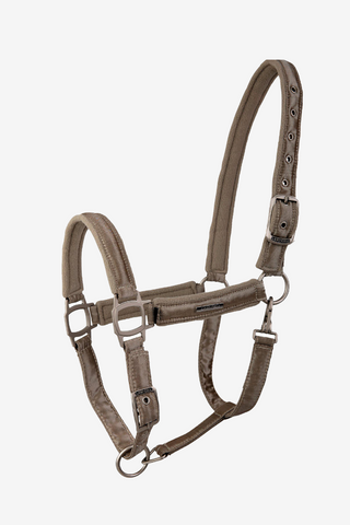 Licol Aurora Champagne