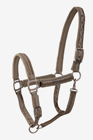 Licol Aurora Champagne