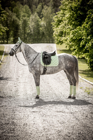 Fleecebandages Venus Mint