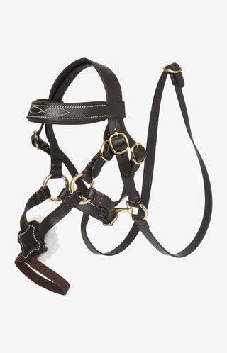LeMieux Toy Pony Grackle Hoofdstel Bruin
