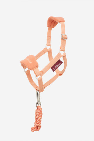 Halster voor stokpaard