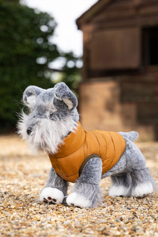 Legetøjshund Cooper fra LeMieux Toy Puppy