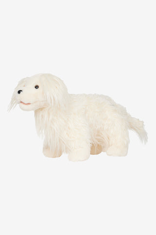 Toy Dog Luna