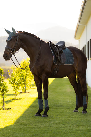 Dressurschabracke Loire Classic Jungle