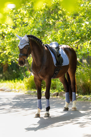 Dressyrschabrak Sammet Powder Blue