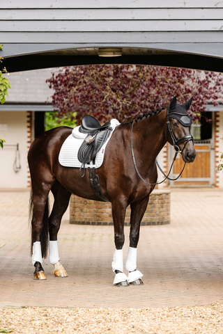 Suede Dressage Saddle Pad White