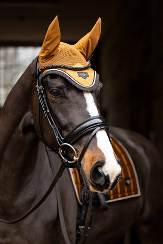 Fliegenhaube Loire