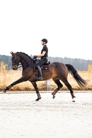 Puissance suède dressuurschabrak bruin
