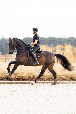 Puissance suède dressuurschabrak bruin