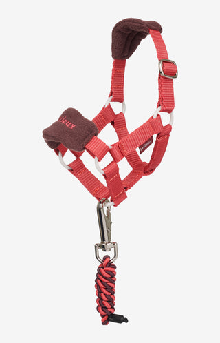 Licol Cheval Jouet Vogue Cranberry