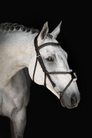 Pullar Noseband Wilson Supreme