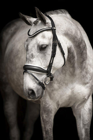 Bridle Integro Grande Black
