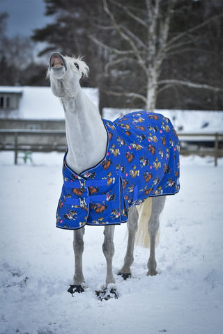 Turnout Rug 50g Blue