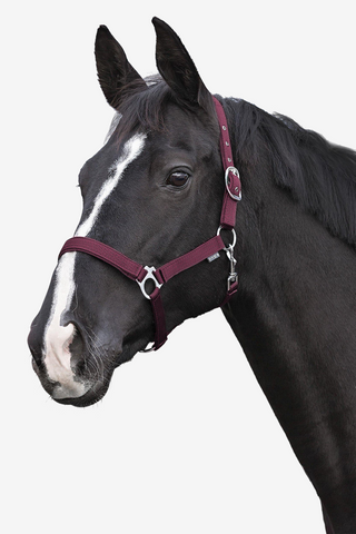Padded Halter Burgundy