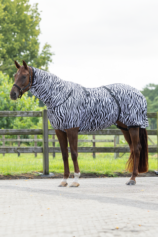 Ekzemdecke Zebra