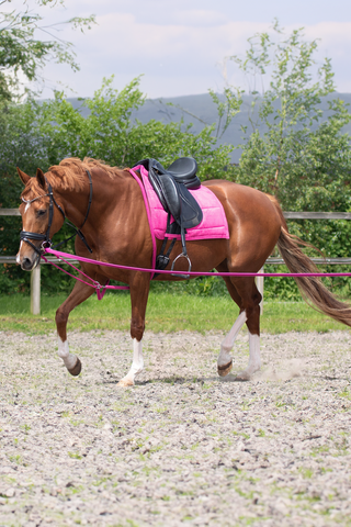 Lunging Aid Fuchsia