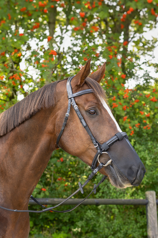 Anti-Fly Muzzle Protector Black