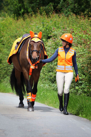 Equi-Flector Beinreflektoren Orange