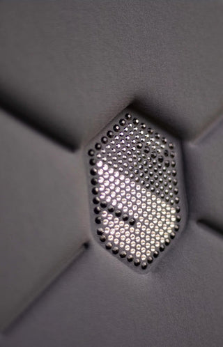 Set Spineshield Swarovski Anthrazit