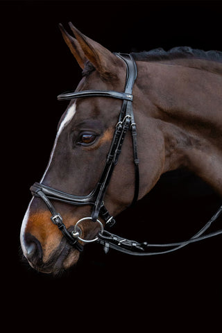 Ancona Select Hoofdstel