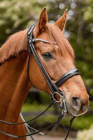 HO Mors de bride 14mm/5cm