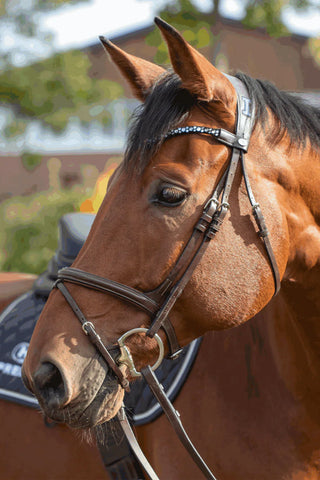 Novocontact Eggbutt D-Ring 2-delt 14mm