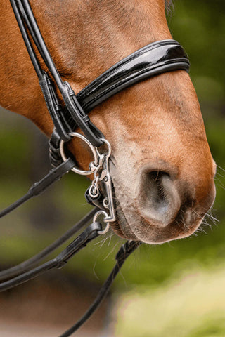 Bridong Aurigan Ringar 12mm