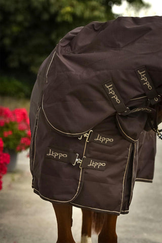 Stable Rug with Neck 150g Brown