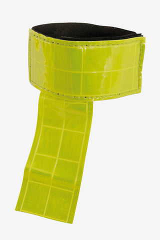 Réflecteur de Queue Néon