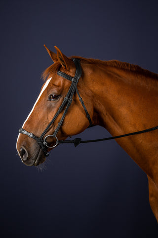 Bridle Remont Noseband New English Black